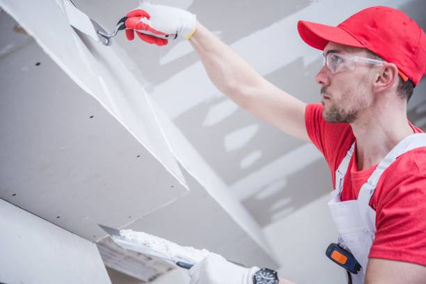 Best Ceiling Drywall Installation  in Belgrade, MT